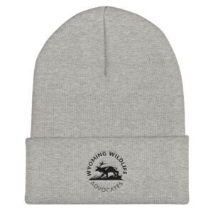 Dark Round Logo Cuffed Beanie
