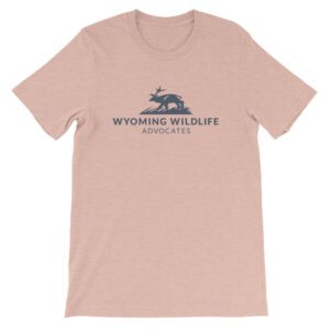 Dark Landscape Logo Tee