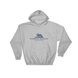 Dark Landscape Logo Hooded Sweatshirt