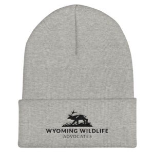 Dark Landscape Logo Cuffed Beanie