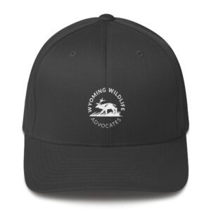 Light Round Logo Structured Twill Cap