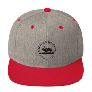 Dark Round Logo Snapback Hat