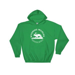 Light Round Logo Hooded Sweatshirt