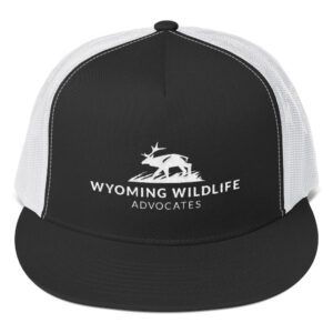 Light Landscape Logo Trucker Cap