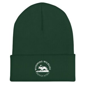 Light Round Logo Cuffed Beanie