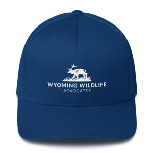 Light Landscape Logo Structured Twill Cap