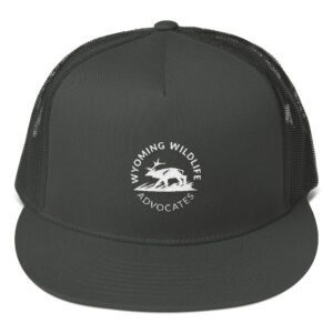 Light Round Logo Trucker Cap