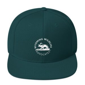 Light Round Logo Snapback Hat