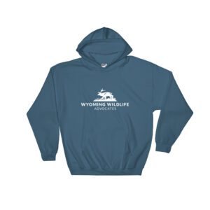Light Landscape Logo Hooded Sweatshirt