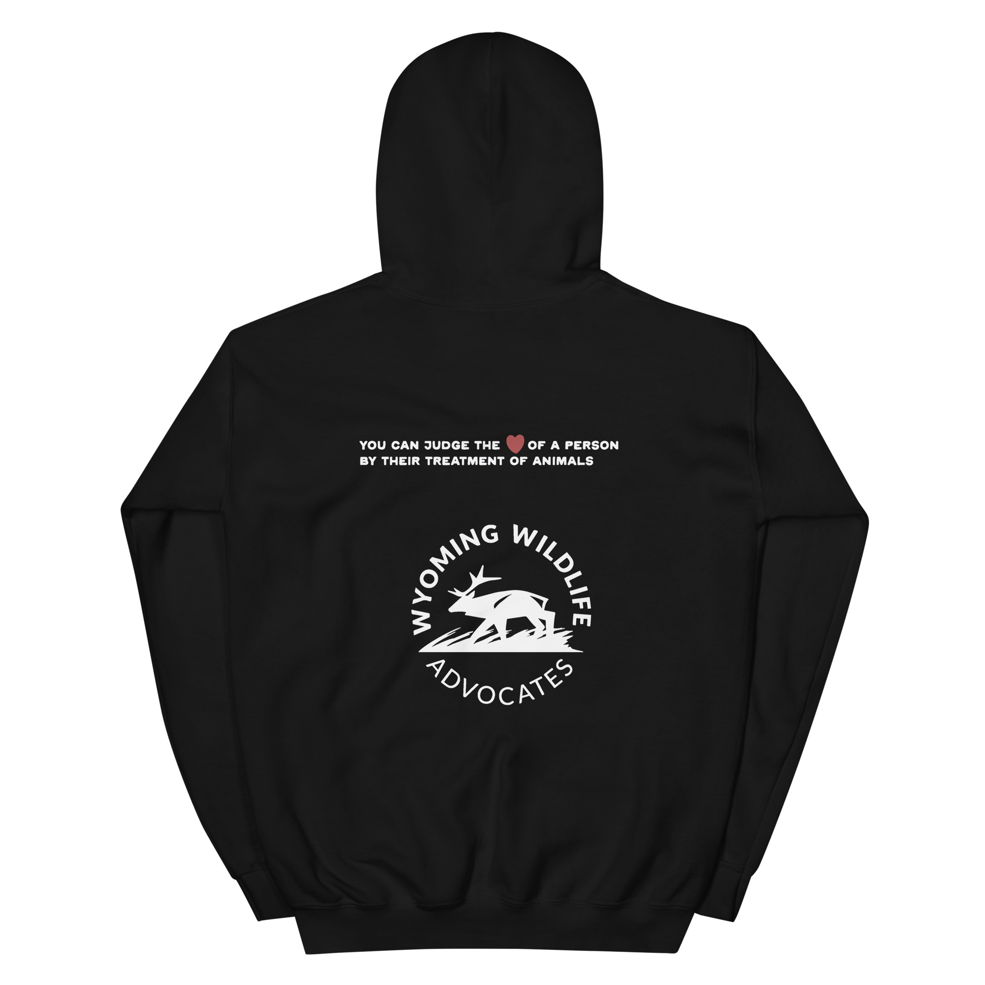 unisex-heavy-blend-hoodie-black-back-66f4329c8ba95.jpg