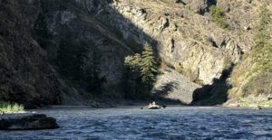 A raft navigates the Middle Fork of the Salmon River surrounded by steep rocky canyon walls and pine trees, showcasing remote wilderness where Starlink kept business online.