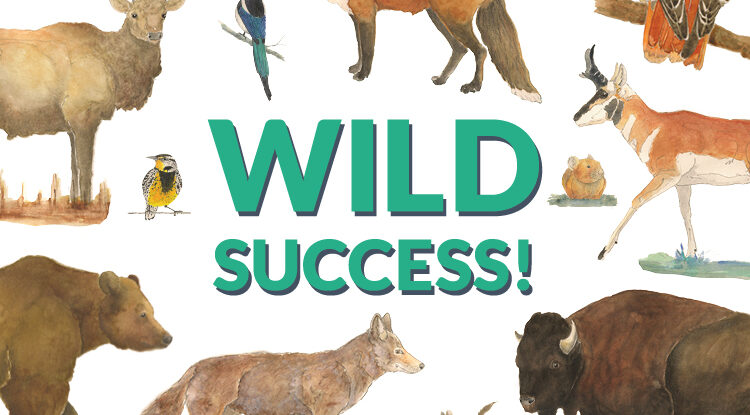 Help Us Continue Our Successful Efforts - Give To WWA Through Old Bills