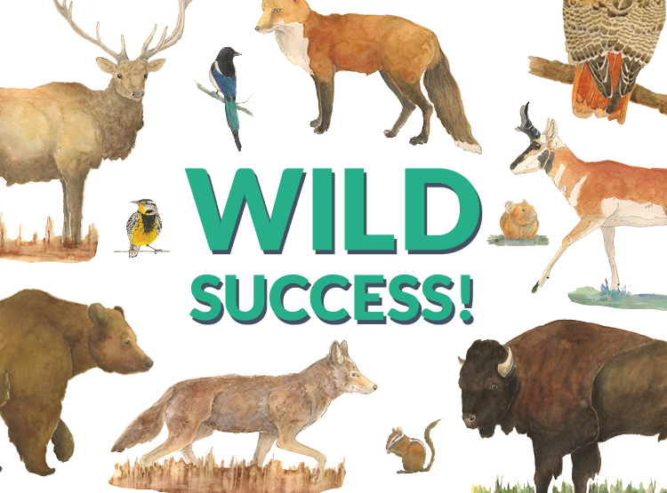 Help Us Continue Our Successful Efforts - Give To WWA Through Old Bills
